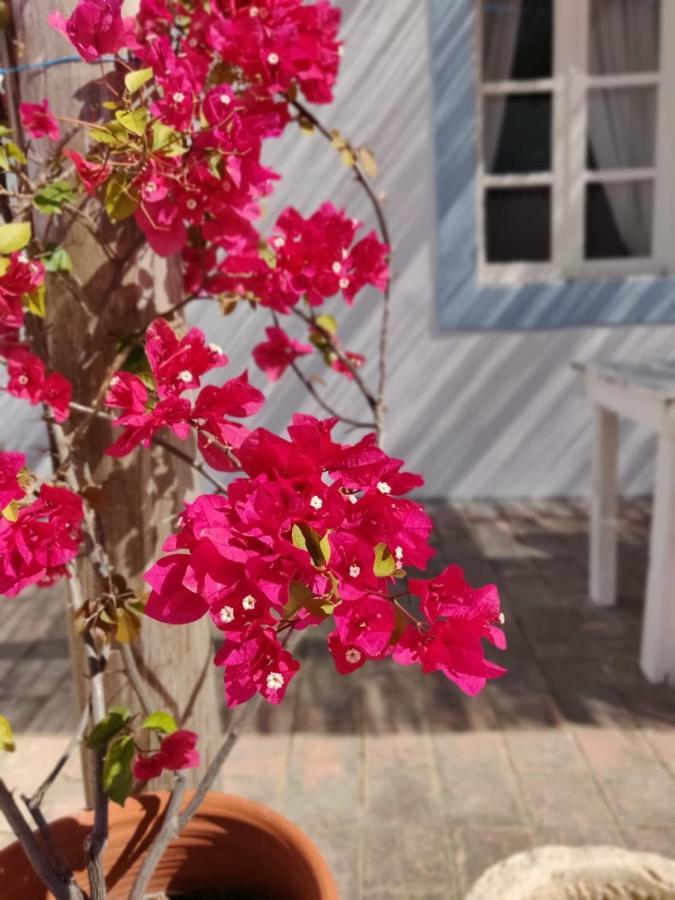 Casa Largo Do Poco Guesthouse Alvor Εξωτερικό φωτογραφία