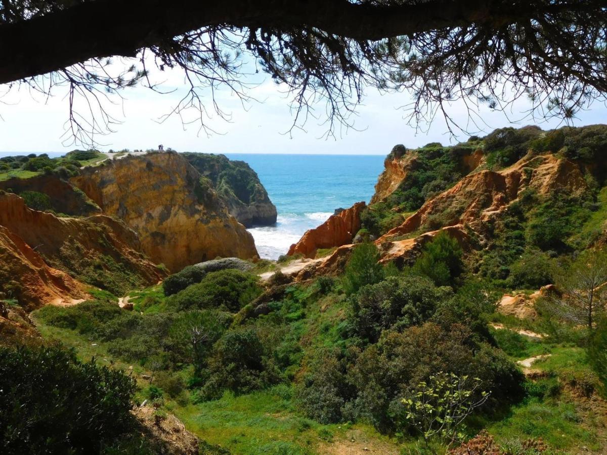 Casa Largo Do Poco Guesthouse Alvor Εξωτερικό φωτογραφία